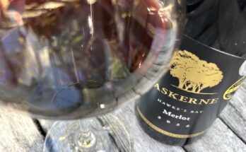 Askerne Merlot 2022