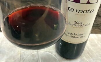 Te Motu 2004