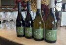 New releases from Mirae