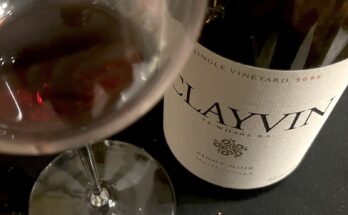 Te Whare Ra ‘Clayvin’ Pinot Noir 2016