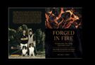 Forged in Fire – a book review