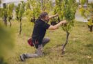 Winemaker series: Randal Peart